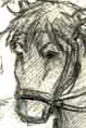 comtepetit.gif (10708 octets)