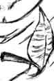 donapetit.jpg (10043 octets)
