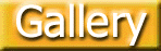 gal.gif (5917 octets)