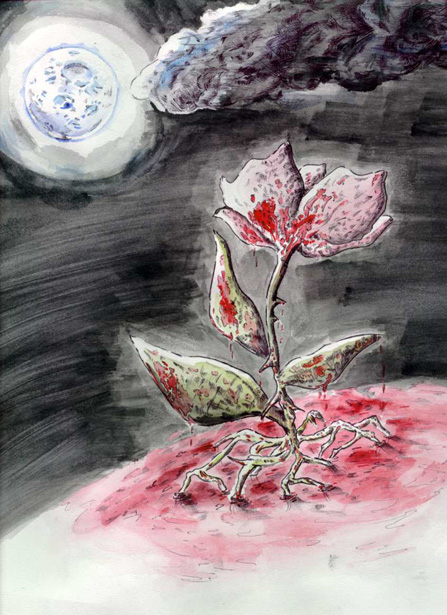 rose.jpg (137616 octets)