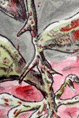 rosepetit.jpg (40760 octets)