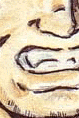 tomportraitpetit.gif (9473 octets)